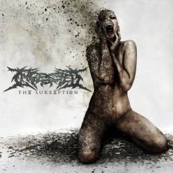 Ingested : The Surreption